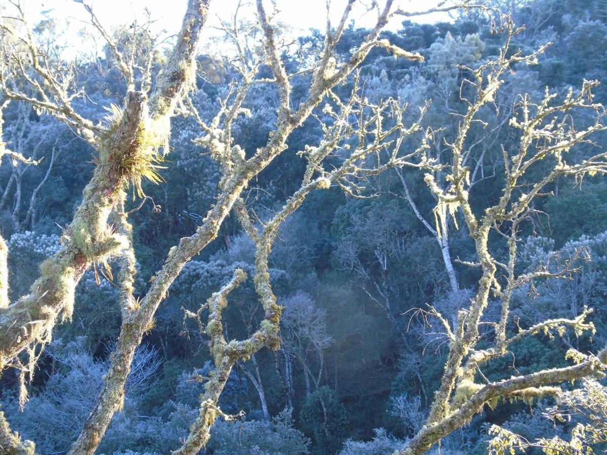 Refugio Monte Olimpo Ξενοδοχείο Campo Alegre  Εξωτερικό φωτογραφία
