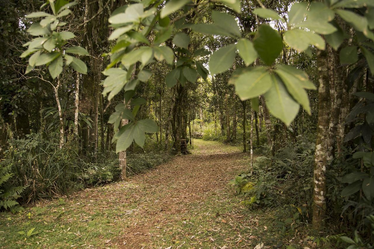 Refugio Monte Olimpo Ξενοδοχείο Campo Alegre  Εξωτερικό φωτογραφία